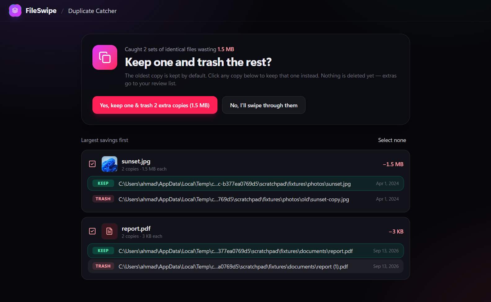 Duplicate files view